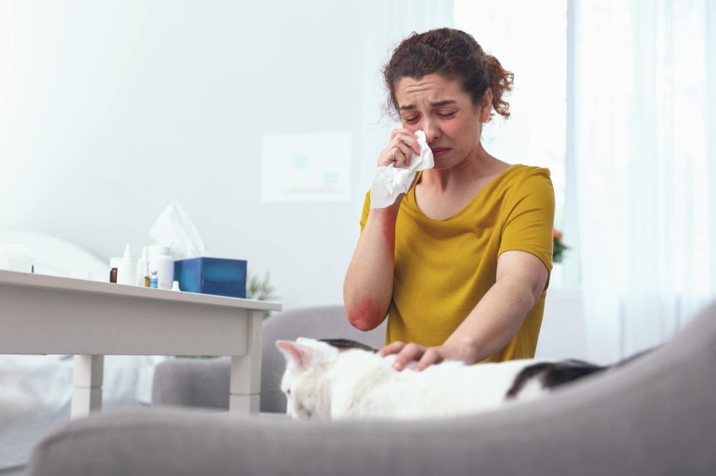 Junge Frau mit laufender Nase sitzt auf ihrer Couch neben ihrer Katze, Katzen für Allergiker